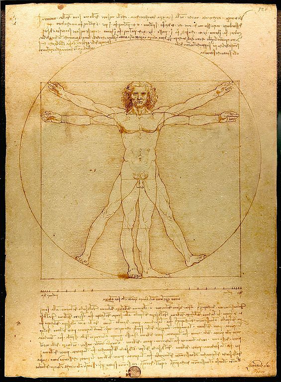 the-vitruvian-man